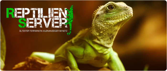 Reptilien Server Logo